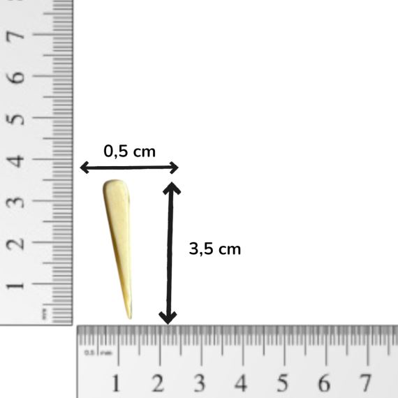 PIEZAS DE NACAR NATURAL PERFORACION X 20 GR (15 UNI APROX)