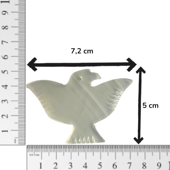 PAJARO 1