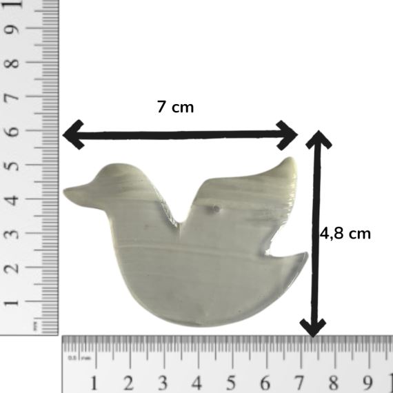 PAJARO 3