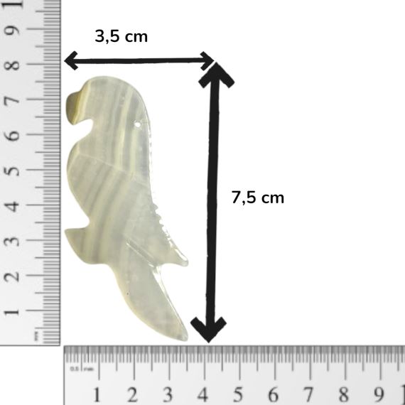 PAJARO 4